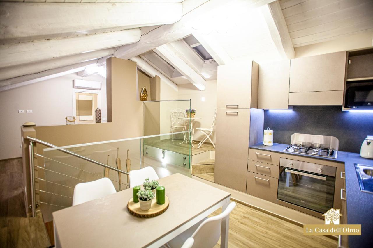 La Casa Dell'Olmo - Suite Apartment 库尼奥 外观 照片