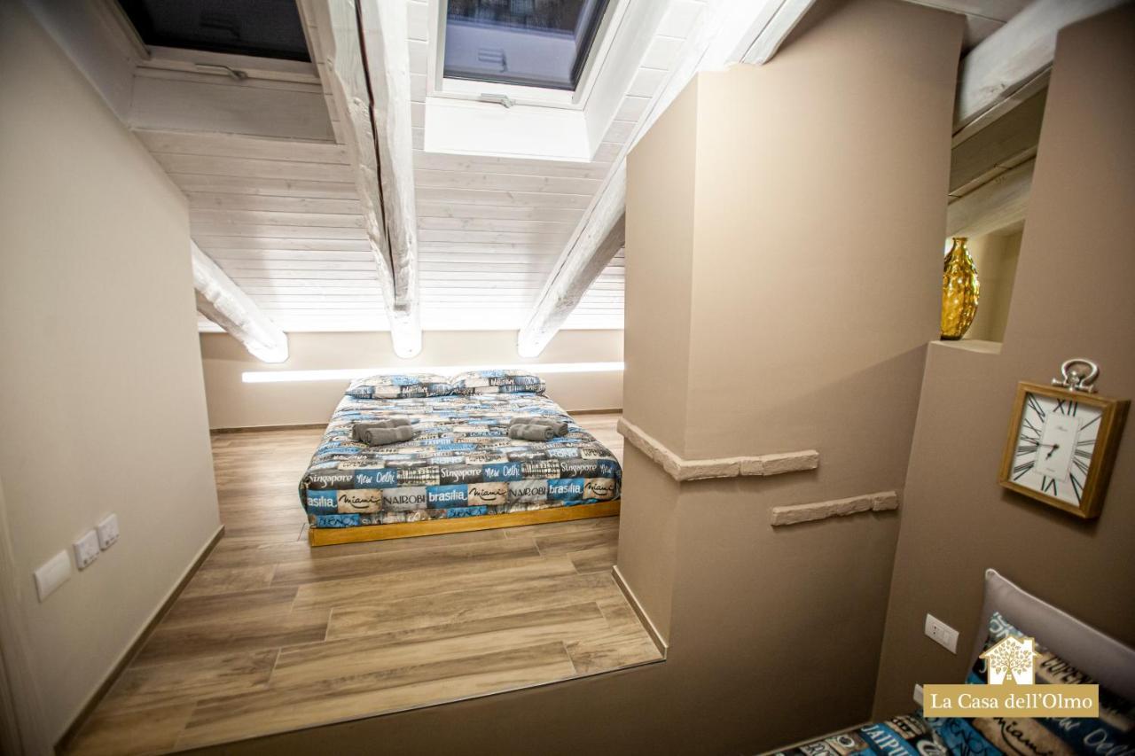 La Casa Dell'Olmo - Suite Apartment 库尼奥 外观 照片